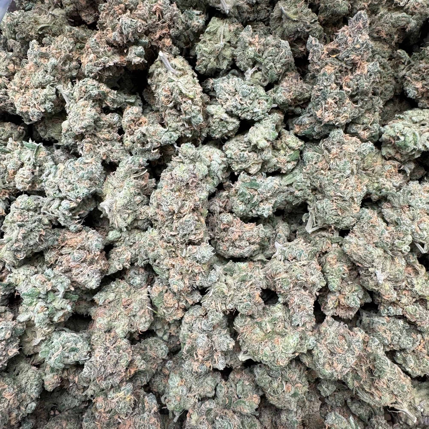 THCa Flower | Blue Dream : SATIVA (27.30%)