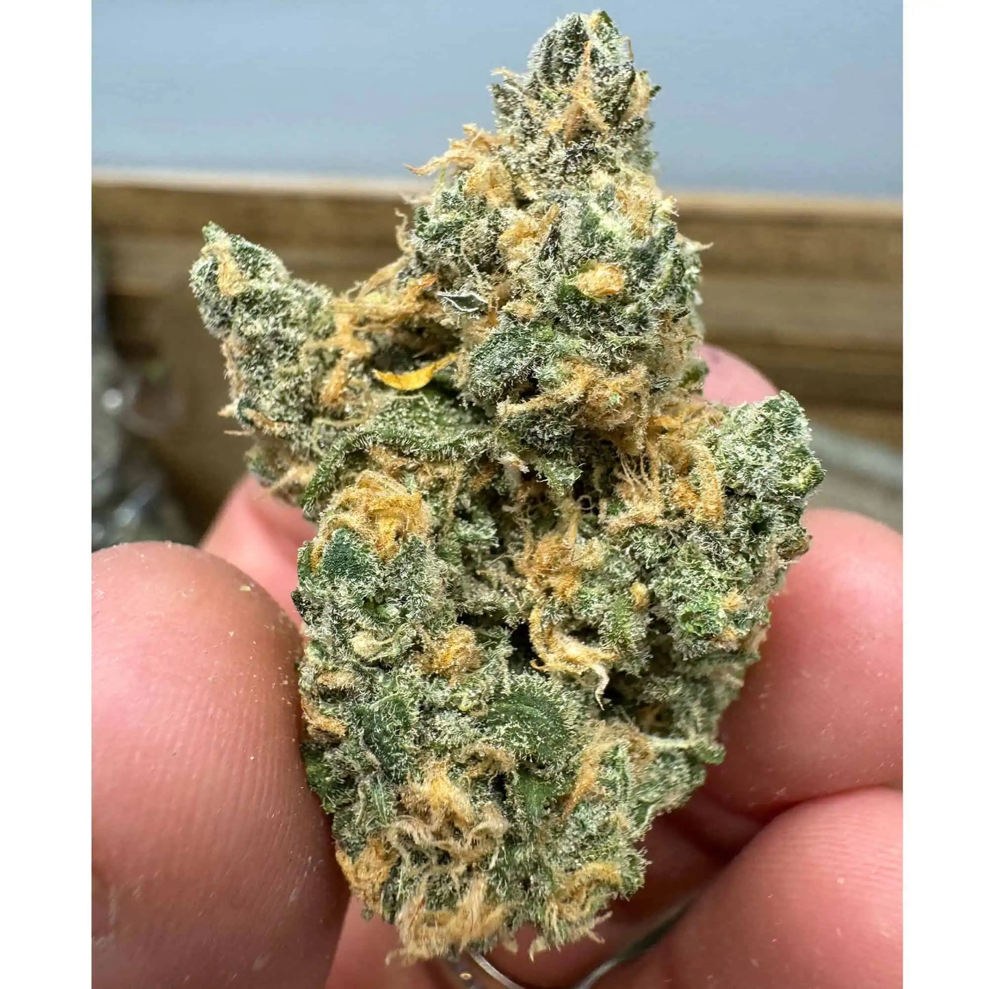 THCa Flower | Blue Dream : SATIVA (27.30%)