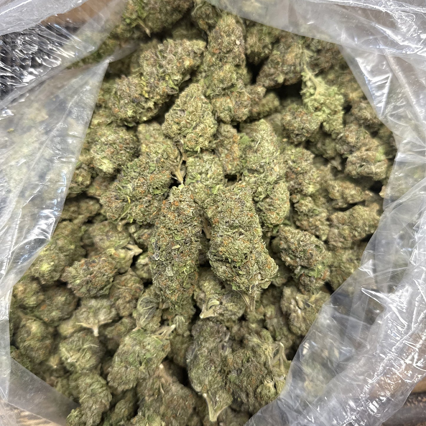 THCa Flower | Girl Scout Cookies : INDICA (38.89%)