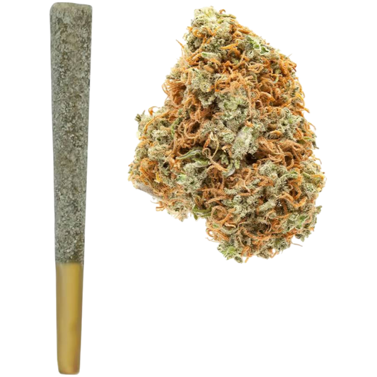 1.5G THCa Diamond Pre Roll | Orange Cookies : SATIVA (38.92%) *PRICE DROP*