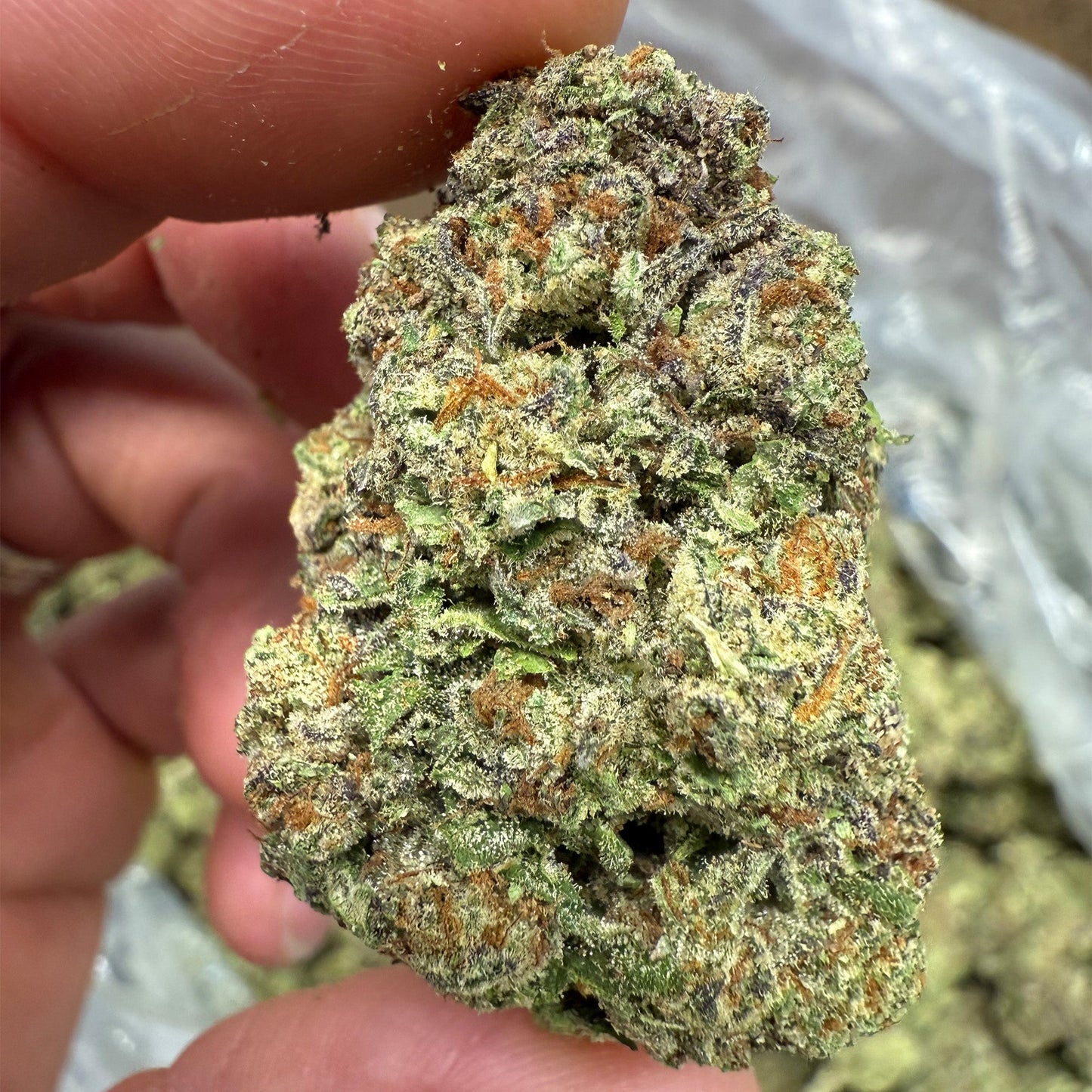 THCa Flower | Super Boof : HYBRID (39.89%)