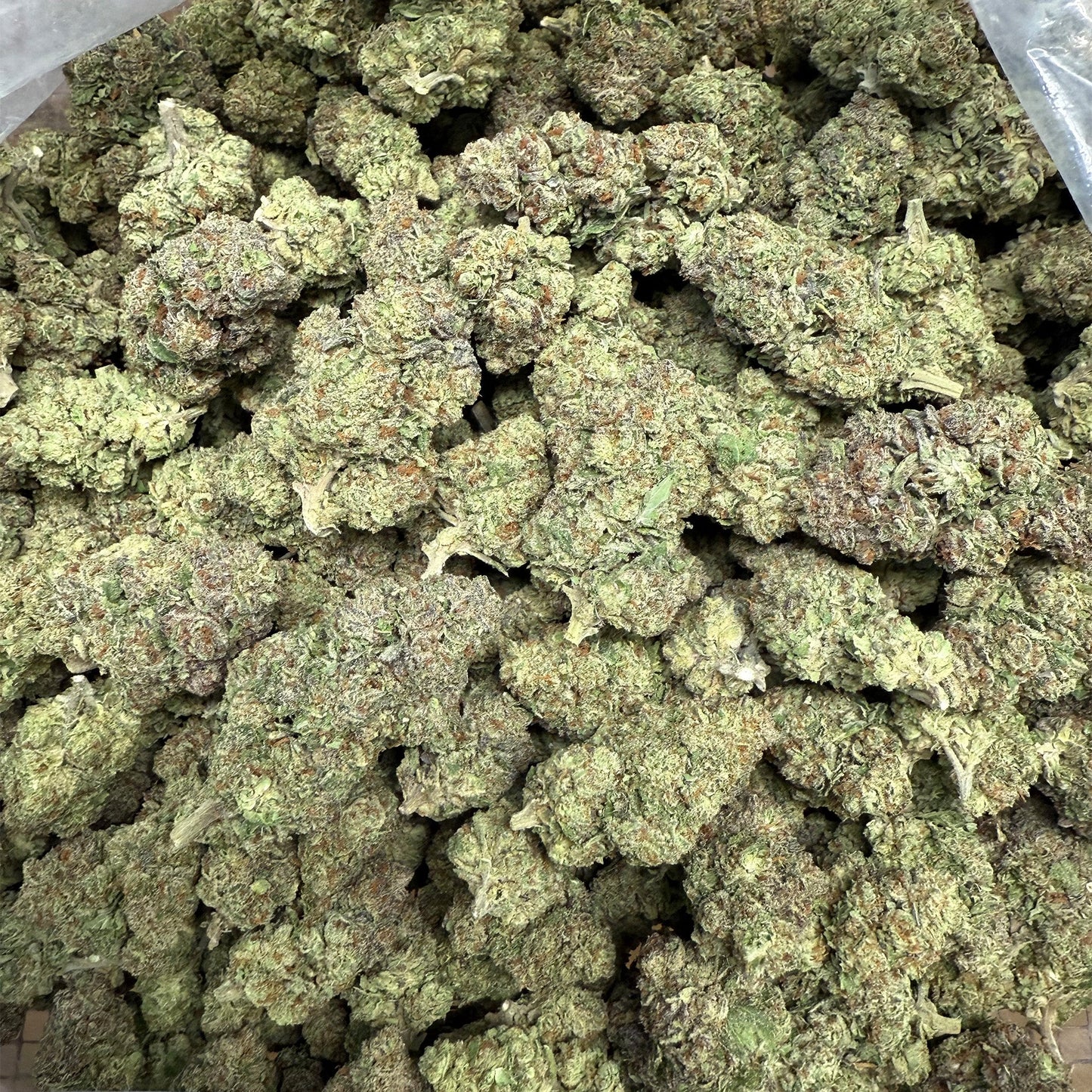 THCa Flower | Super Boof : HYBRID (39.89%)