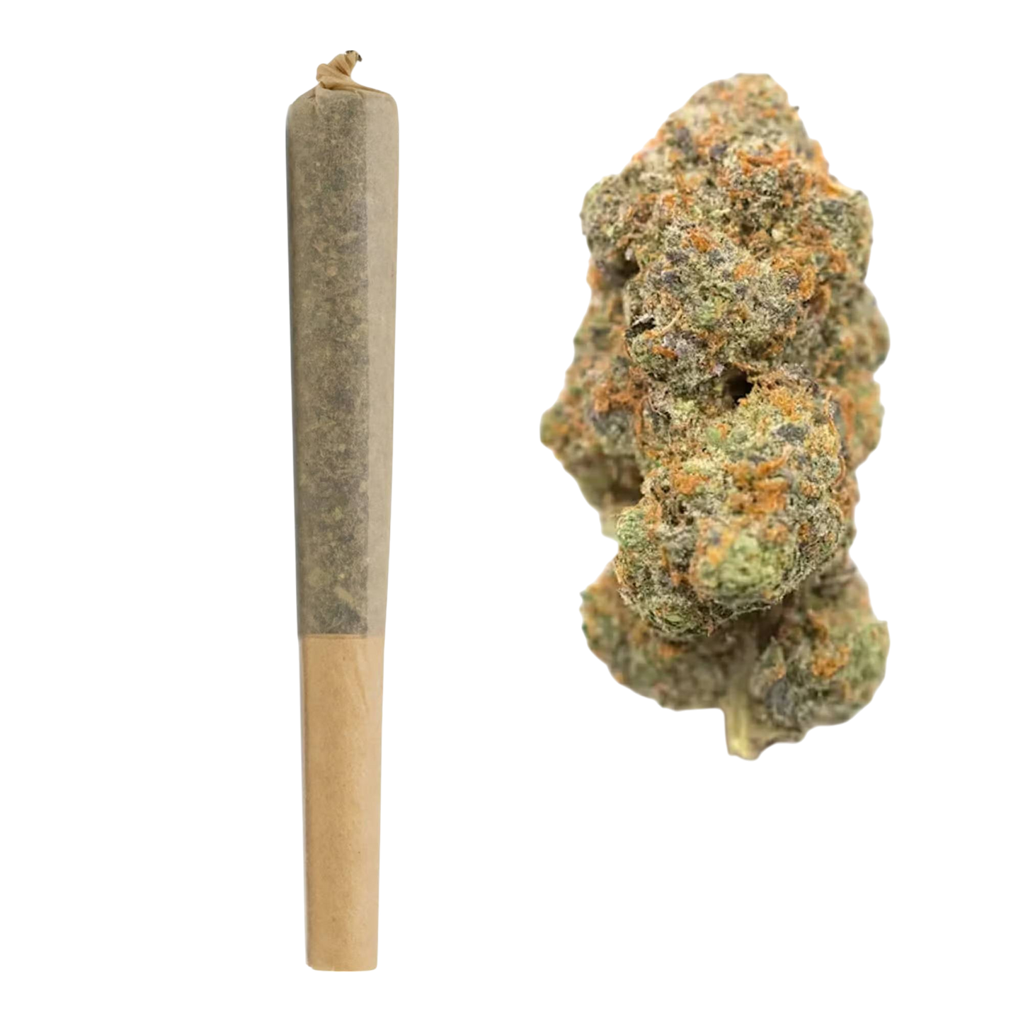 1G THCa Pre Roll | TK Lato : HYBRID (22.52%)